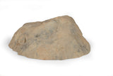 Large Rock Lid