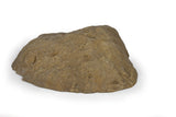 Large Rock Lid